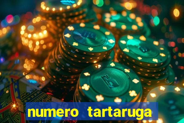 numero tartaruga jogo do bicho